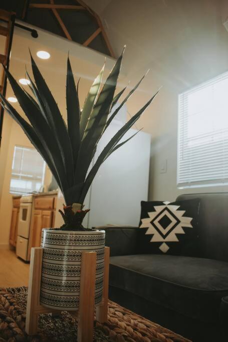 Agave Tiny House At Cactus Flower-Hot Tub-Pet Friendly-No Pet Fees! Albuquerque Luaran gambar